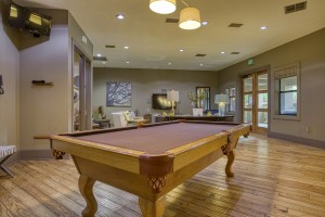 1 Bedroom Apartments in San Antonio, TX - Pool Table (2) 